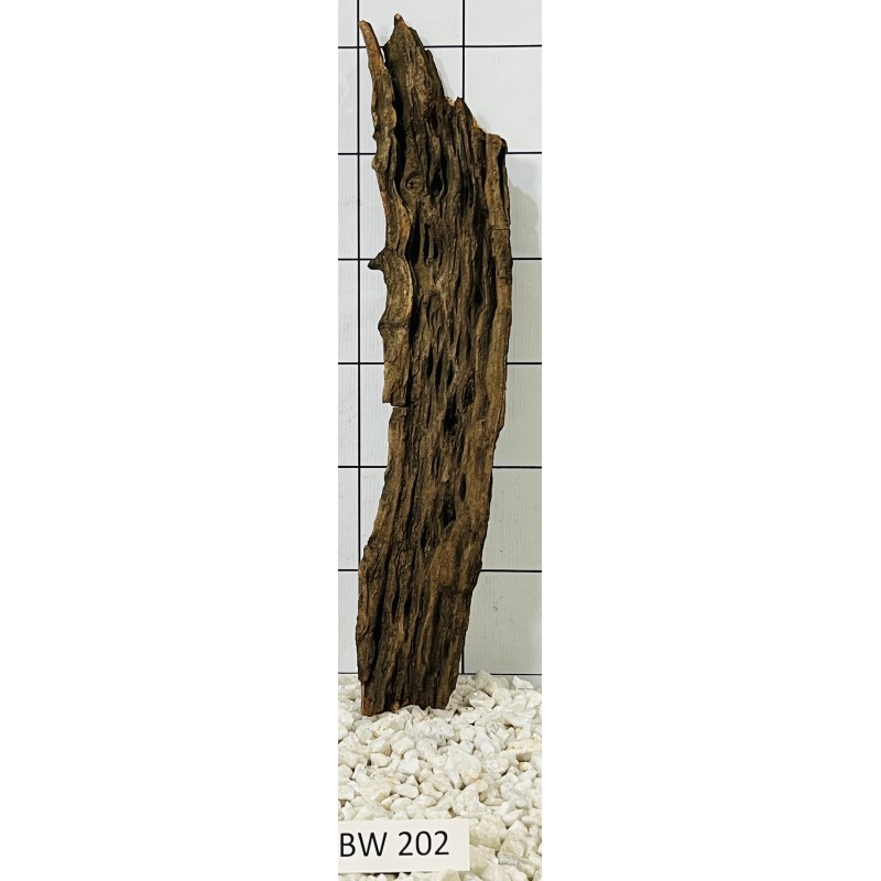 Bogwood 202