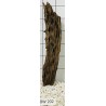 Bogwood 202
