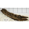 Bogwood 202