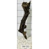 Bogwood 203