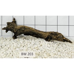 Bogwood 203