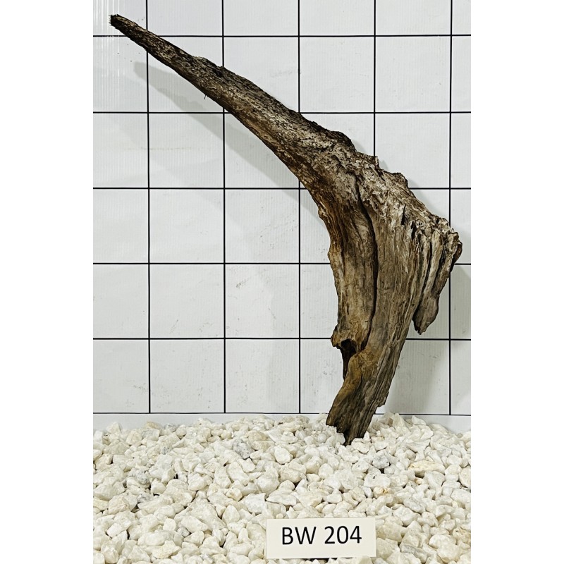 Bogwood 204