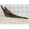 Bogwood 204