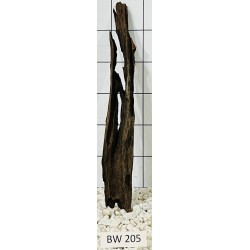 Bogwood 205