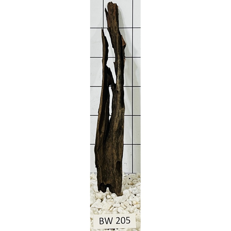 Bogwood 205