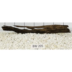 Bogwood 205