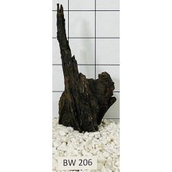 Bogwood 206