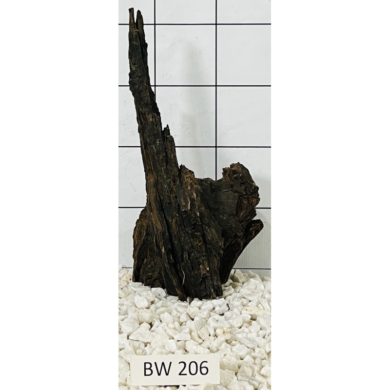 Bogwood 206