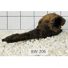 Bogwood 206