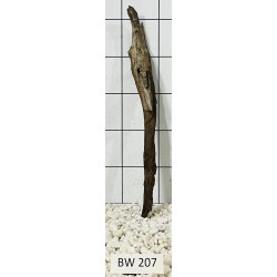 Bogwood 207
