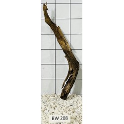 Bogwood 208