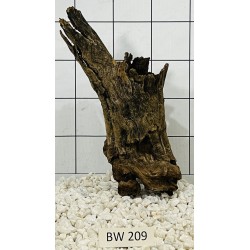 Bogwood 209