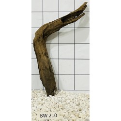 Bogwood 210