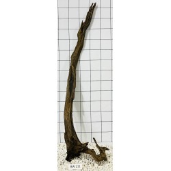 Bogwood 211