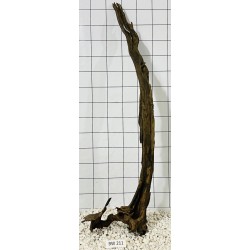Bogwood 211