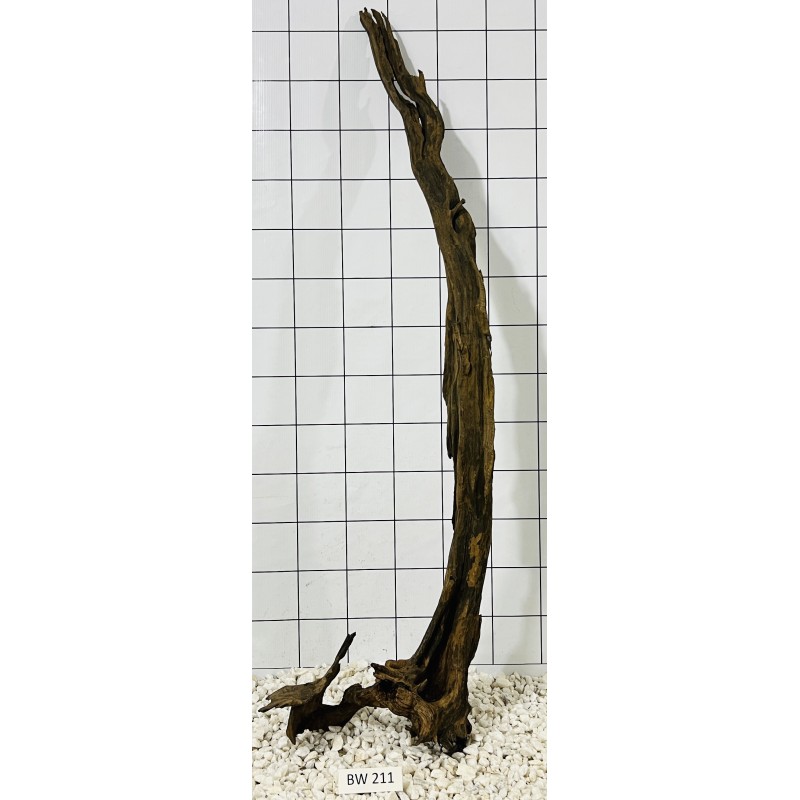 Bogwood 211