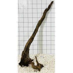 Bogwood 211