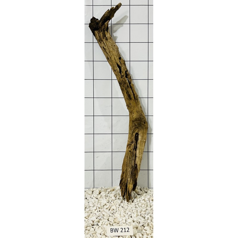 Bogwood 212