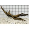 Bogwood 213