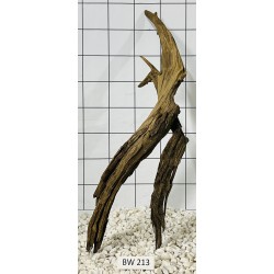 Bogwood 213