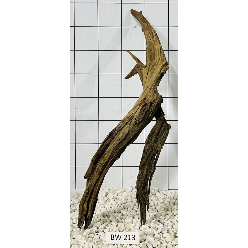 Bogwood 213