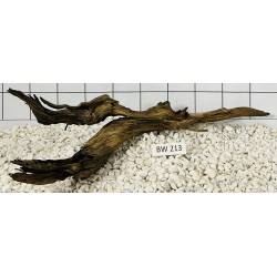Bogwood 213