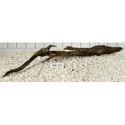 Bogwood 215