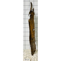 Bogwood 215