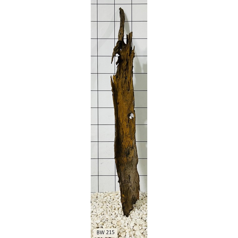 Bogwood 215