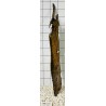 Bogwood 215