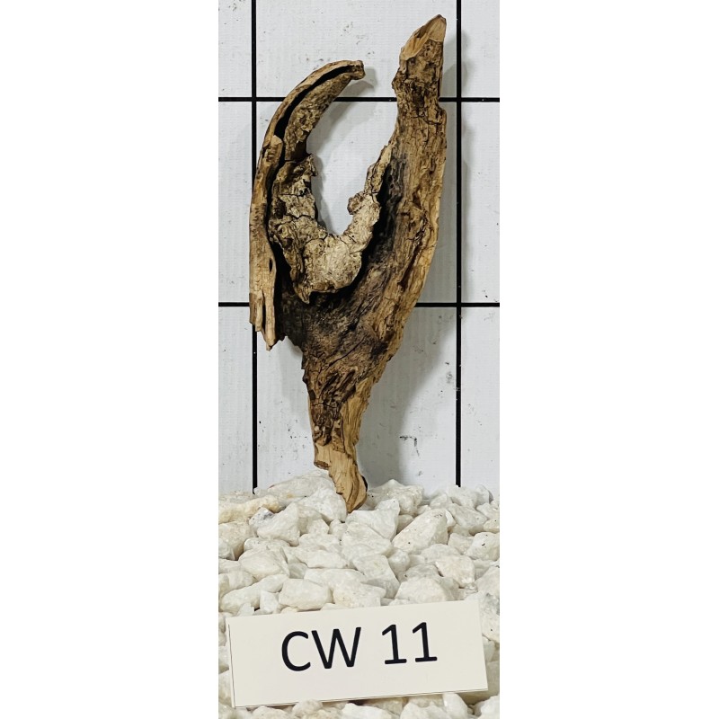 Corbo wood 11