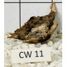 Corbo wood 11