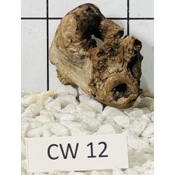 Corbo wood 12