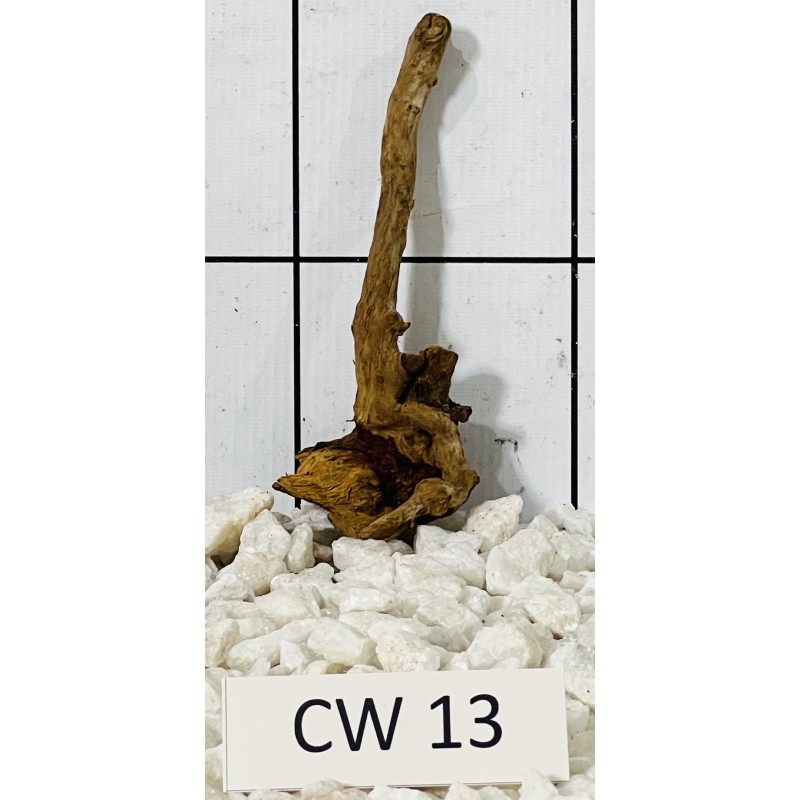 Corbo wood 13