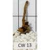 Corbo wood 13