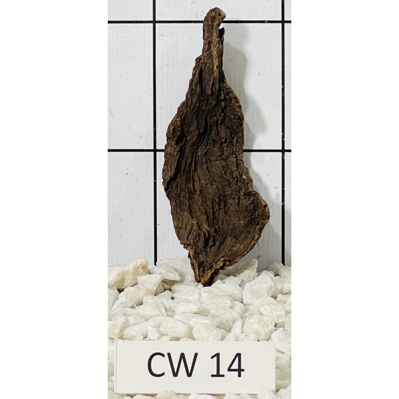 Corbo wood 14