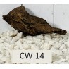 Corbo wood 14
