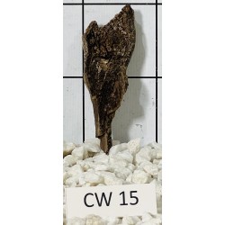Corbo wood 15