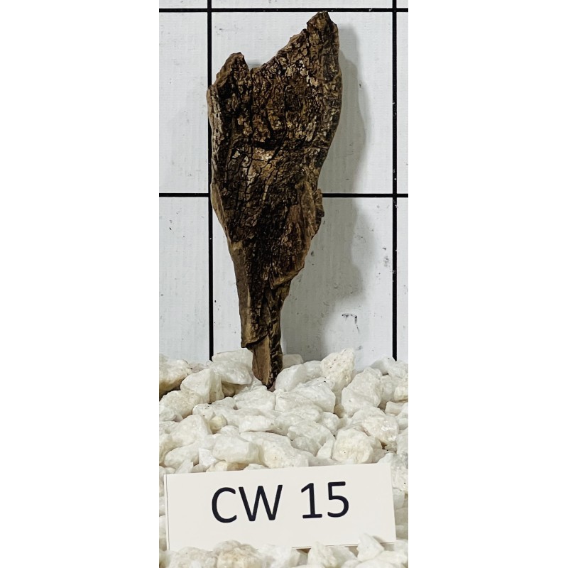 Corbo wood 15