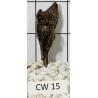 Corbo wood 15