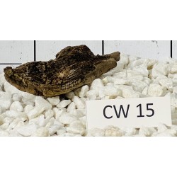 Corbo wood 15