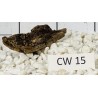 Corbo wood 15