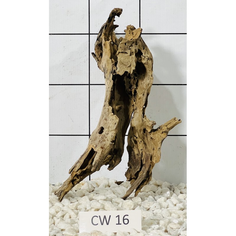 Corbo wood 16