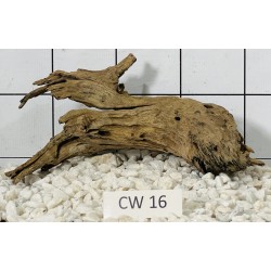 Corbo wood 16