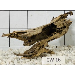 Corbo wood 16