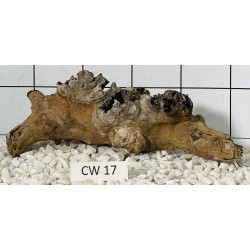 Corbo wood 17