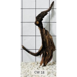 Corbo wood 18