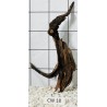 Corbo wood 18