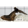 Corbo wood 18