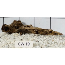Corbo wood 19